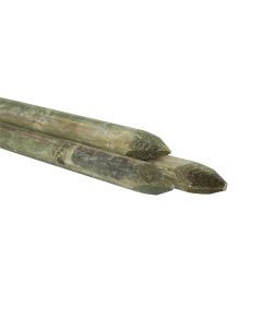 1000664-ean-8713787133824-garlux-afrasteringspaal-naaldhout-celfix-verduurzaamd-gepunt-gefreesd-diameter-6.5-100-cm-(webshop).jpg